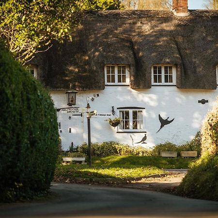 Brace Of Pheasants Hotel Alton Pancras Bagian luar foto
