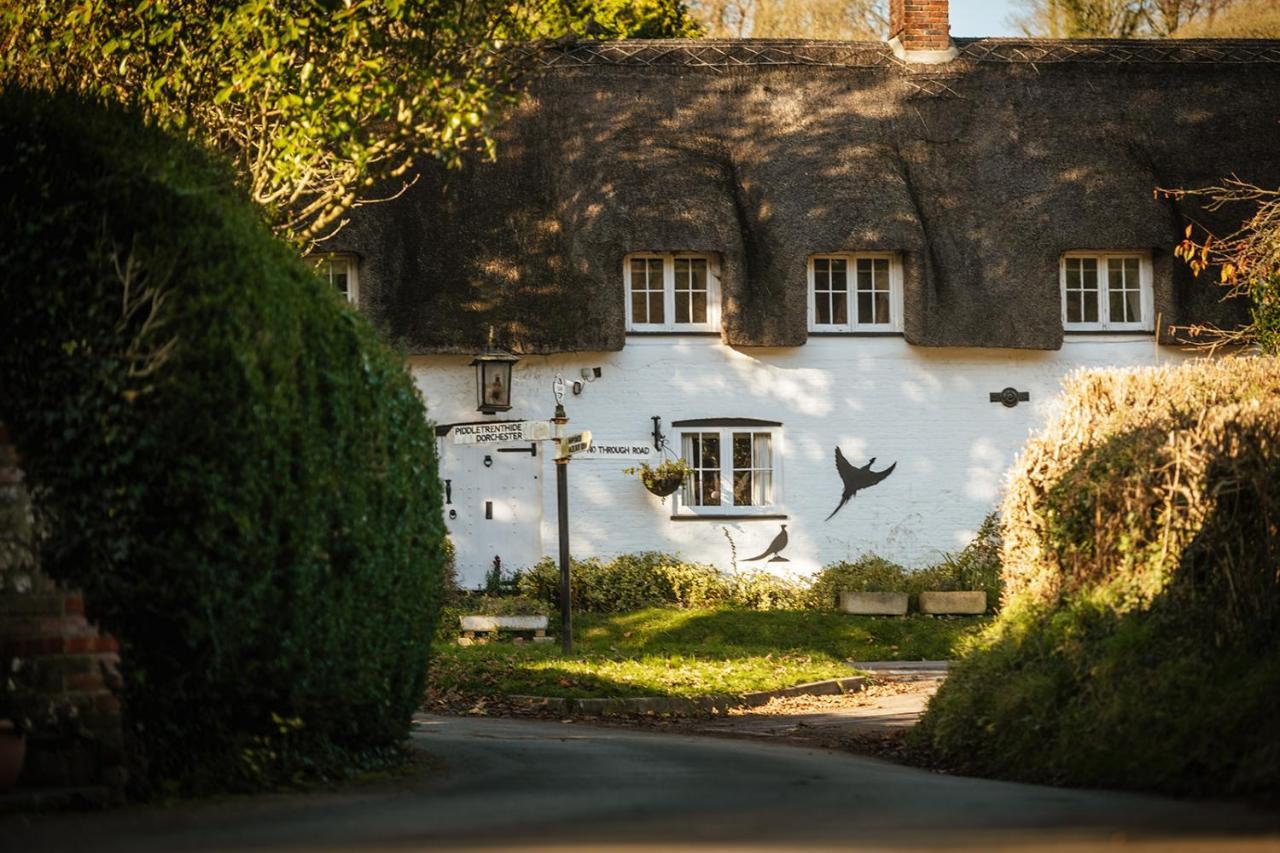 Brace Of Pheasants Hotel Alton Pancras Bagian luar foto