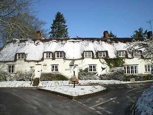 Brace Of Pheasants Hotel Alton Pancras Bagian luar foto
